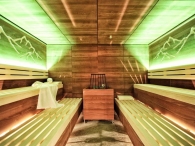 Biosauna1